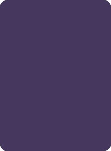 hpl_collection_colours_viola_giglio_498