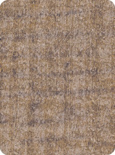 hpl_collection_patagonia_cerro_nuez_1904